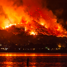 Maui Wildfire